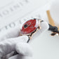 OBLVLO NW Series Automatic 40mm Victory Red Color Partial Skeleton Dial & Rose Gold Case Black Leather Strap Mens Watch