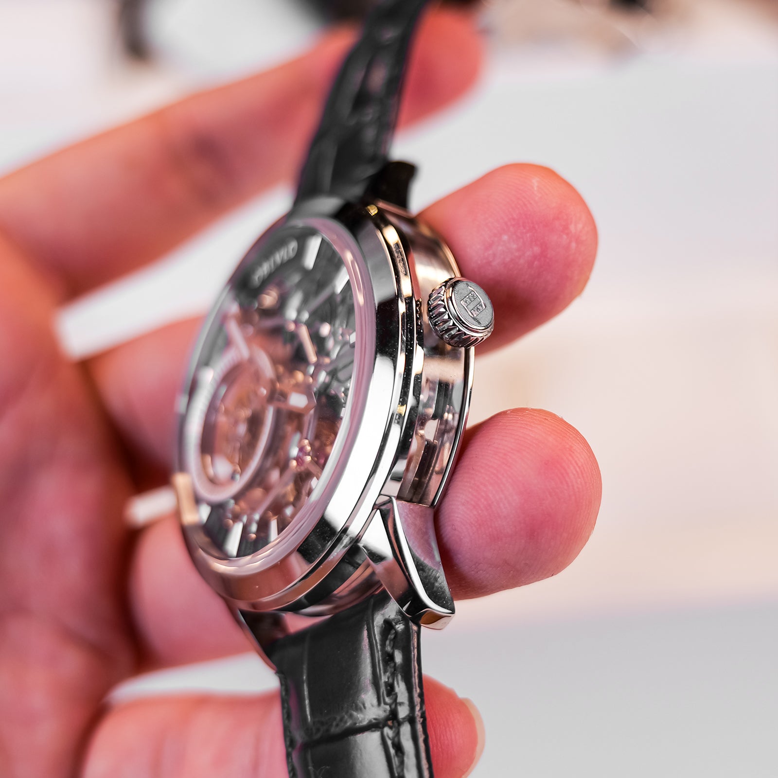Affordable Luxury Mens Skeleton Tourbillon Watch - Oblvlo VM