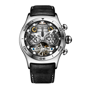 Luxury Reef Tiger Aurora Air bubbles Series Unique Mechanical Skeleton Watch for Men